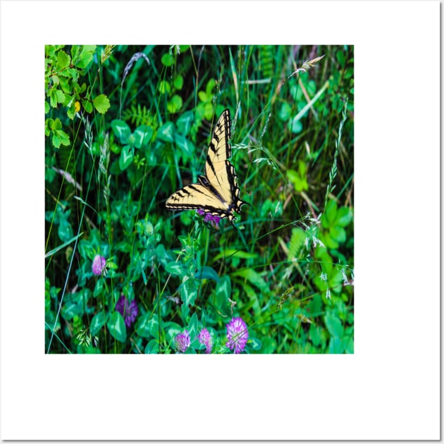 A Butterfly Using Its Wings Wall Art by Seven Mustard Seeds